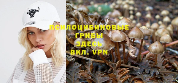 стафф Бронницы