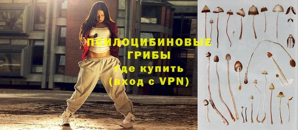 винт Бородино