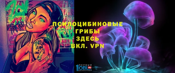 стафф Бронницы