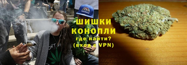винт Бородино