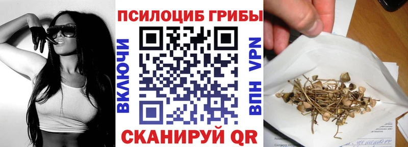 купить закладку  Высоковск  Псилоцибиновые грибы прущие грибы 